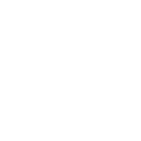 custom web development services