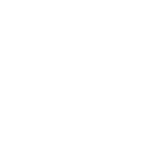 business web development